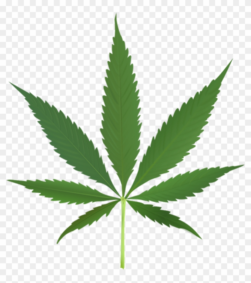 Pot Leaf Clipart