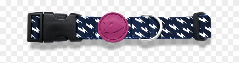 Dog Collar - Belt Clipart