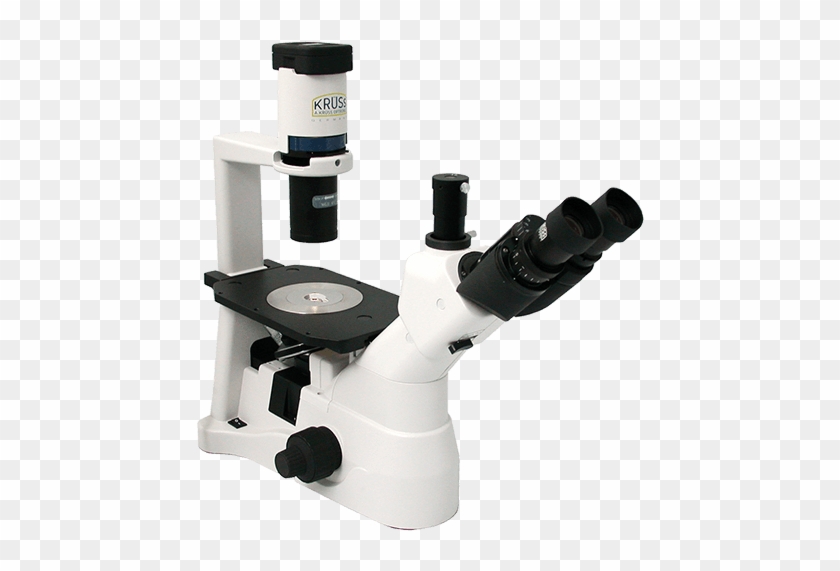 Inverted Microscope Mbl3200 - Microscope Clipart #5837305