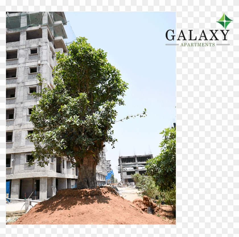 Project Status - - Penthouse Apartment Clipart #5837557