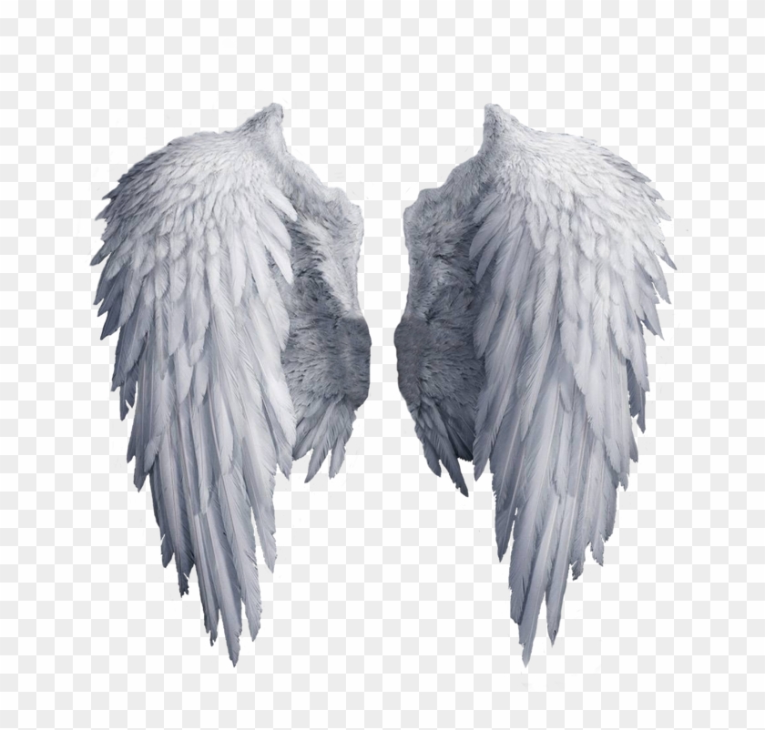 Angel Wings Png, White Angel Wings, Angel Aesthetic, - White Angel Wings Transparent Background Clipart #5838446