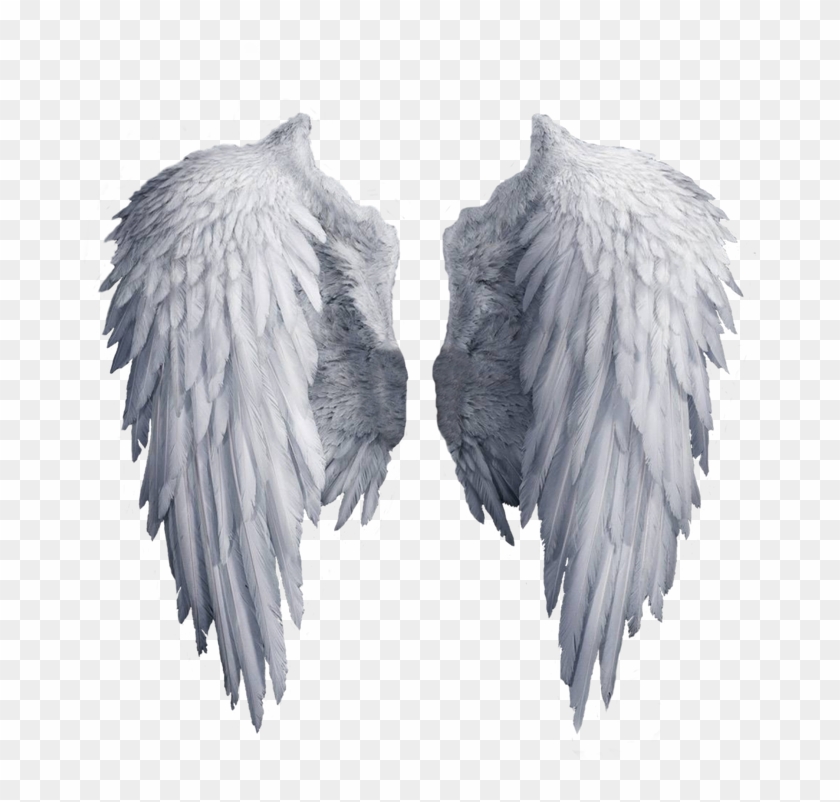 Angel Wings Png, White Angel Wings, Angel Aesthetic, - White Angel Wings Transparent Background Clipart