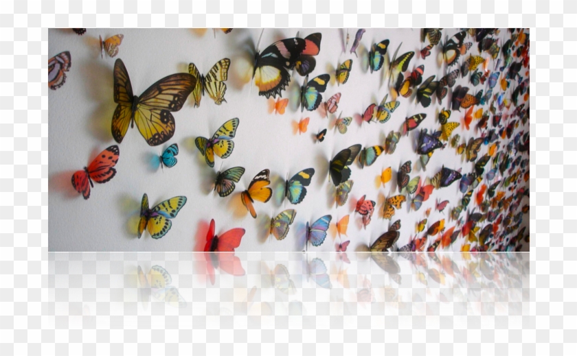 Butterfly - Kristi Malakoff Art Butterflies Clipart #5839565