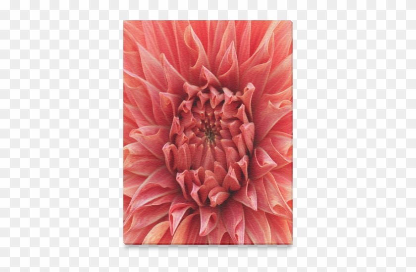 Protea Clipart #5840571