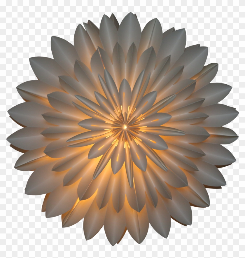 Dahlia - Free Measure And Quote Clipart