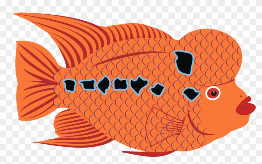 Clip Freeuse Stock Flower Horn Bony Fishes Drawing - Vector Flowerhorn - Png Download