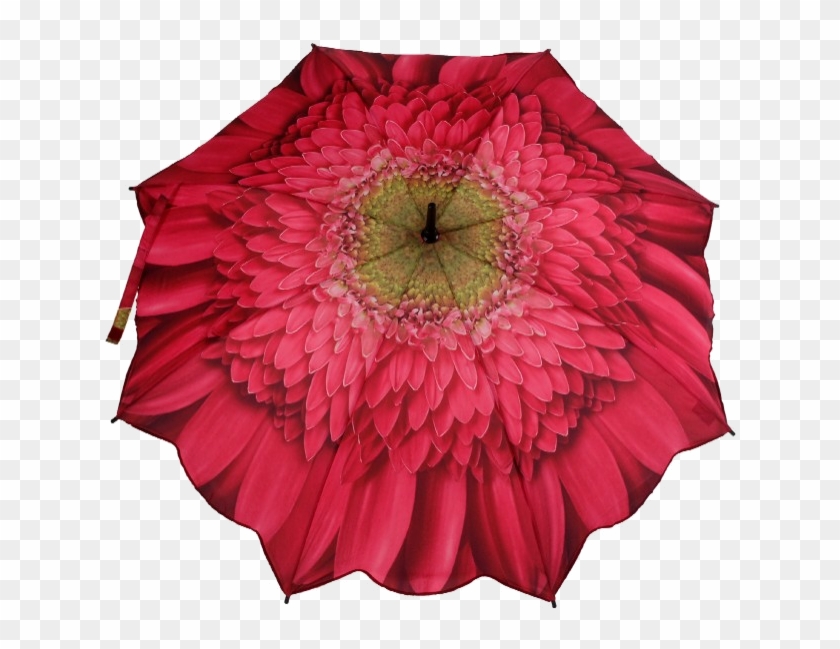 Gerbera Daisy Pink Folding Umbrella , Png Download - Flower Umbrella Clipart #5842371