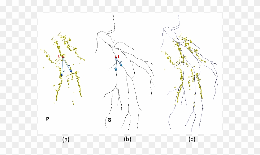 Example Of Outlier Rejection - Map Clipart