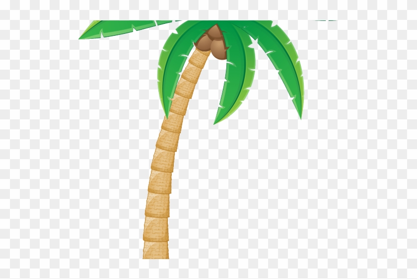 Plants Clipart Coconut Tree - Coconut Tree Clipart Png Transparent Background #5843599