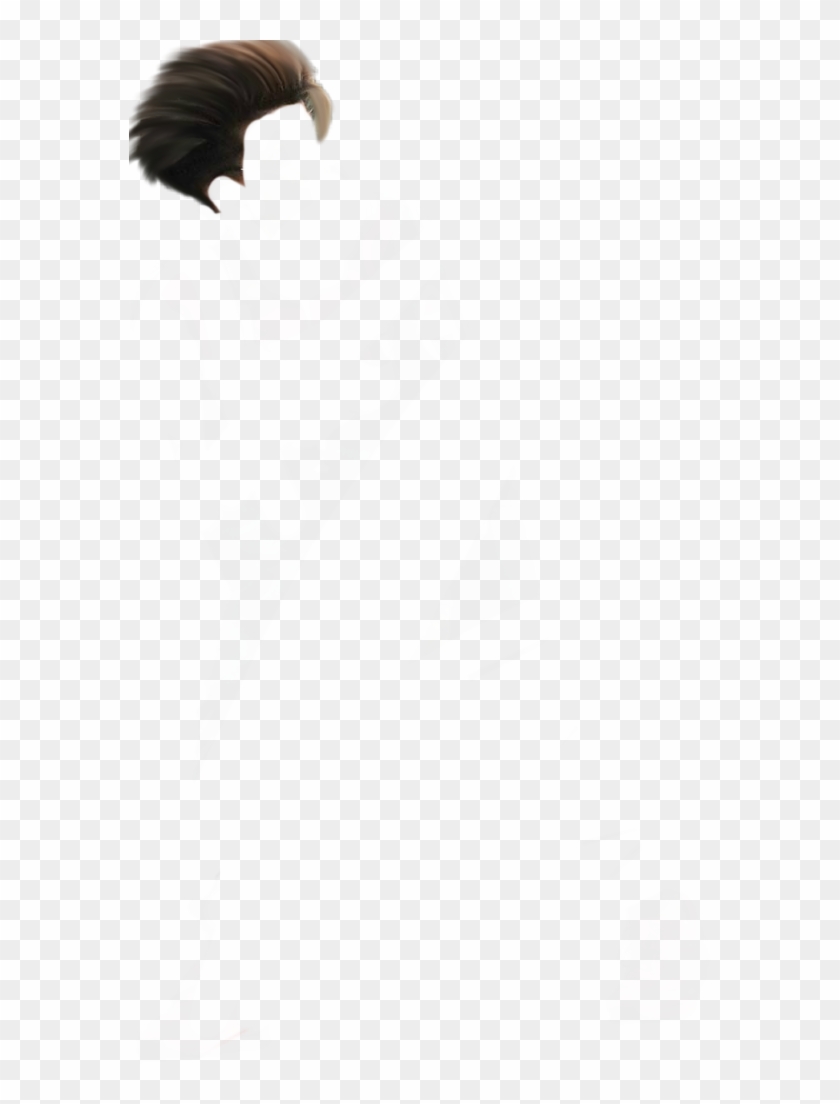 Well, This Is Something New That We Try To Make On - Great Black-backed Gull Clipart