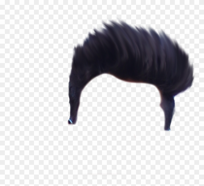 Hair Png - Mane Clipart