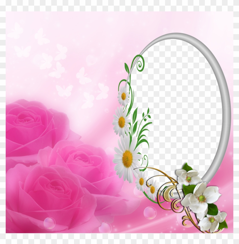Hq Photo Frames - Clip Art - Png Download #5845366