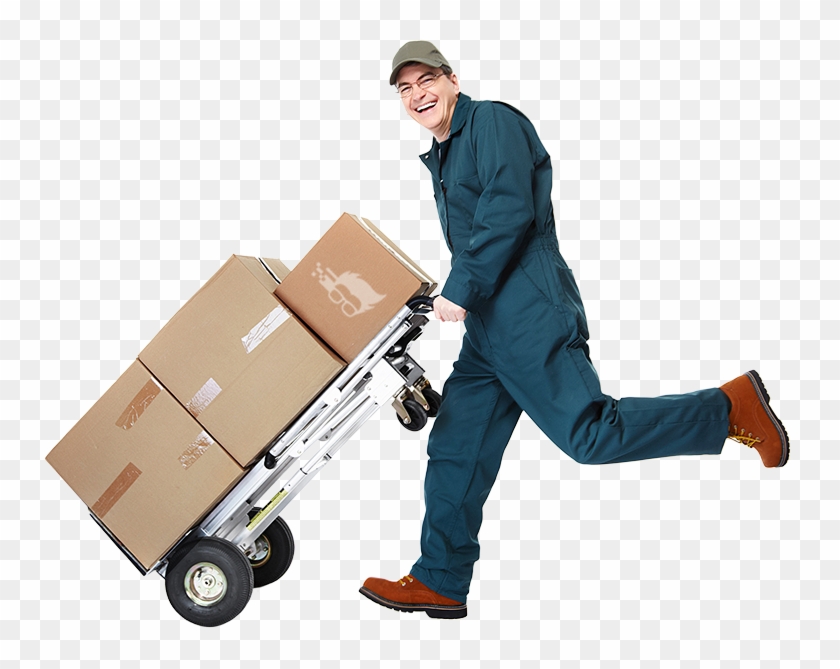 Stay On Top Of Your Ups And Fedex Data And Hold Carriers - Carton Clipart #5848386