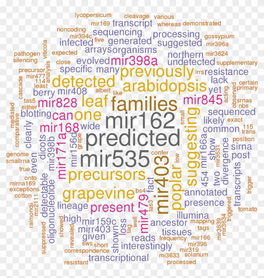 Stem Loop Sequence Vvi Mir482 - Matthew Pearce Clipart