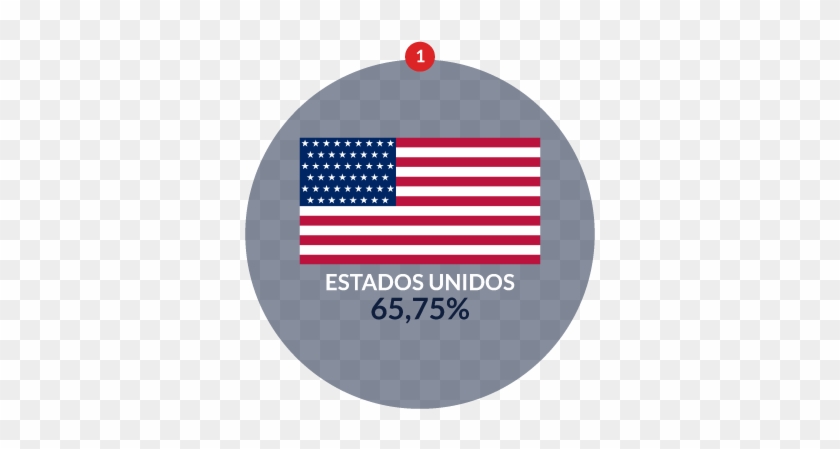 American Community Survey 2010, Para El Dato De Estados - Flag Of The United States Clipart #5850303