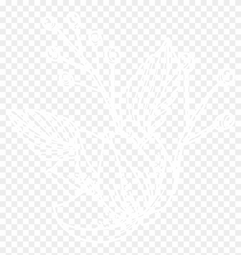 Taylor Davenport Photography - Johns Hopkins Logo White Clipart