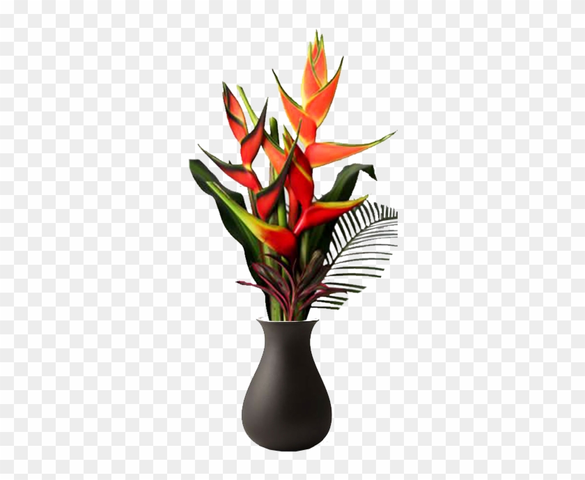 Medium - Bromelia Clipart #5855555