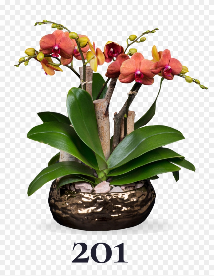 Artificial Flower Clipart