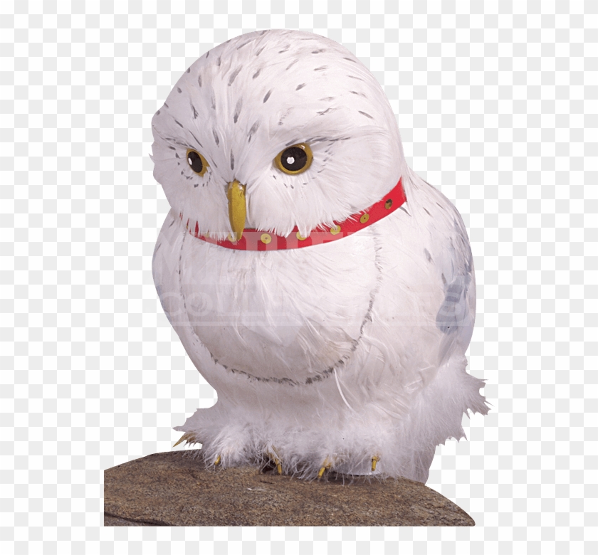 Hedwig The Owl Prop - Harry Potter Owl Clipart #5858433
