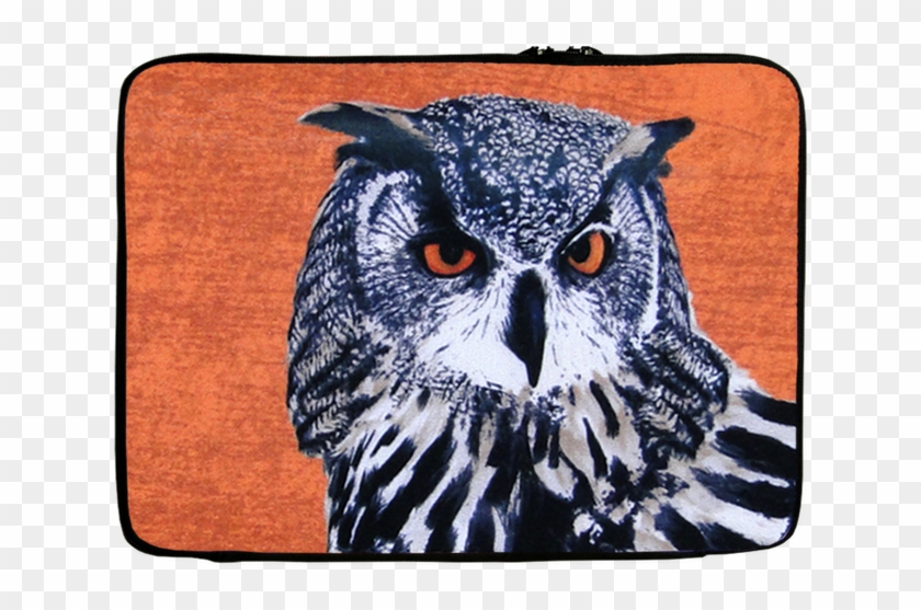 Owl Clipart