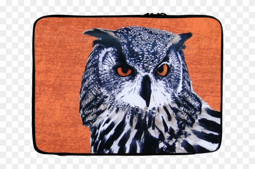 Owl Clipart #5859077