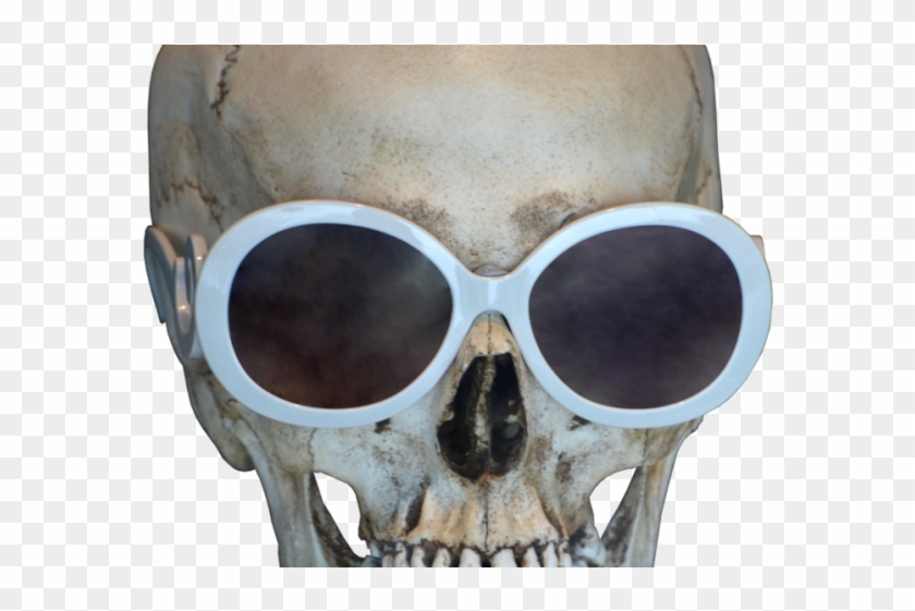 Skeleton Head Png Transparent Images - Portable Network Graphics Clipart #5859537