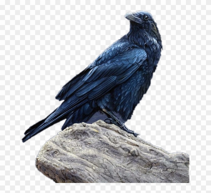 #raven - Raven Daniel Smith Art Clipart