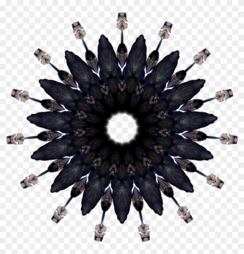 Sea Witch Of Gypsy Cove - Feather Circle Png Clipart