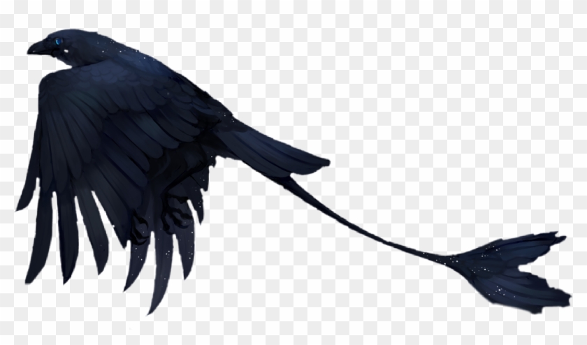 #bird #fantasy #scifi #raven #birds #black #cool #dark - American Crow Clipart #5860772