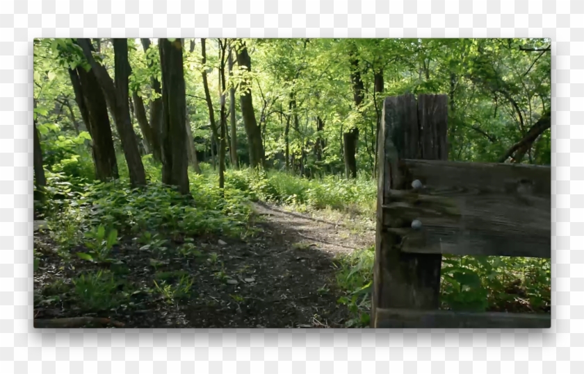 Dead Man's Hollow - Dead Man's Hollow Pa Clipart