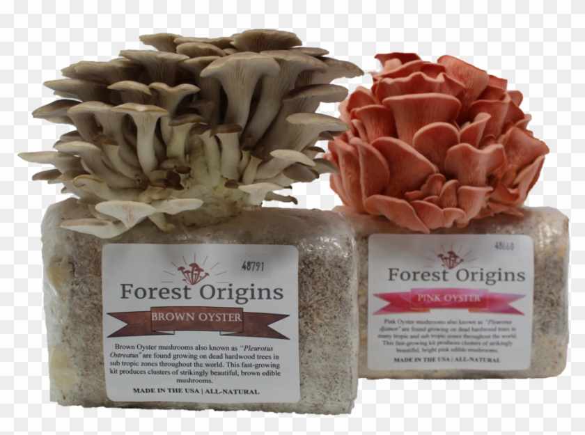 Mushroom Growing Kit Clipart #5861311