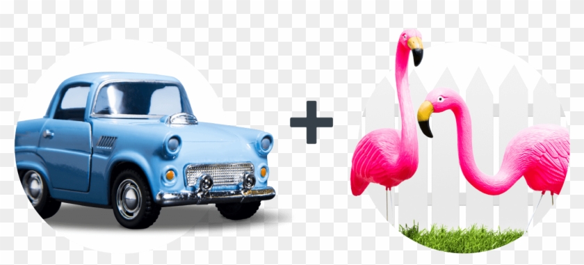 A Flamingo Confuses A Car Driver, Causing A Wreck - Turkey Clipart