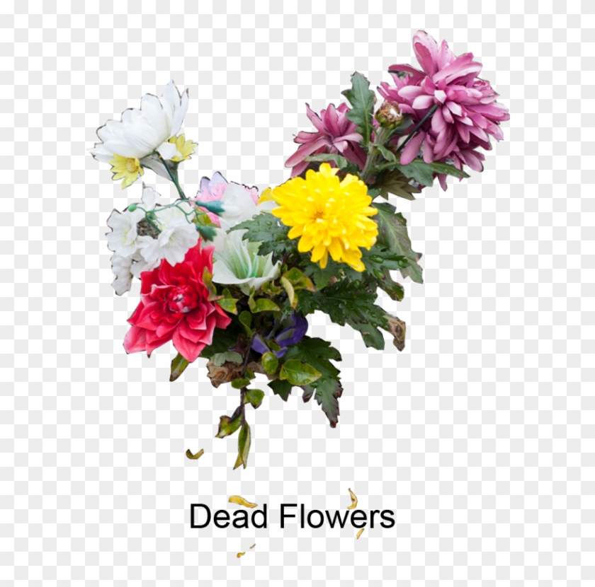 Portfolio - Bouquet Clipart