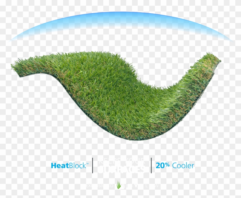 Lawn Clipart #5861545