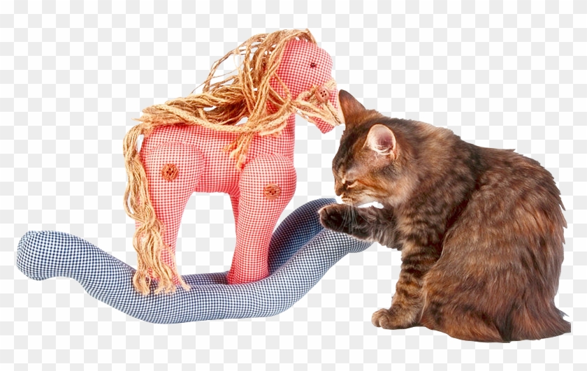 Texture Mod Loading Screens With Kittens For Gta San - Cat Yawns Clipart