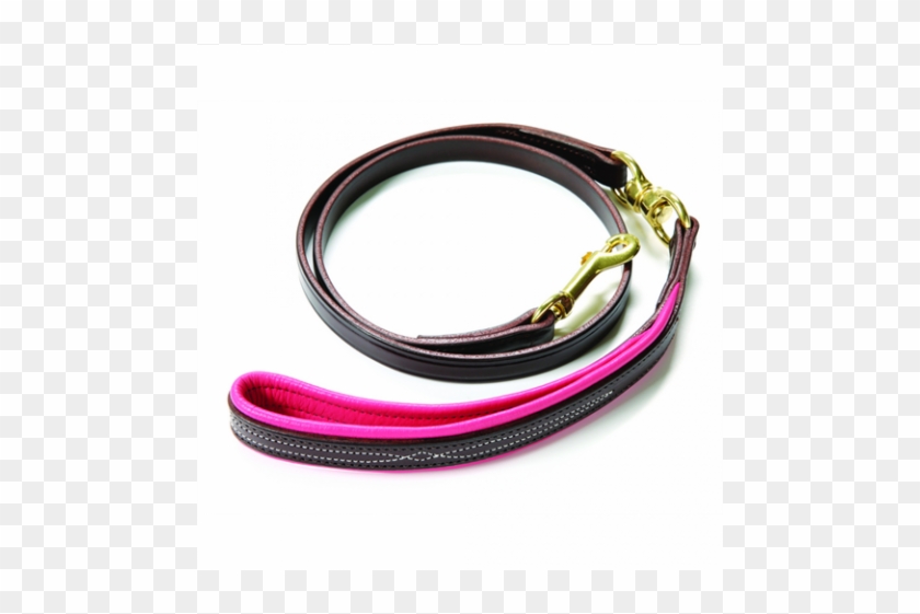 Signature Dog Leash - Cable Clipart #5864614
