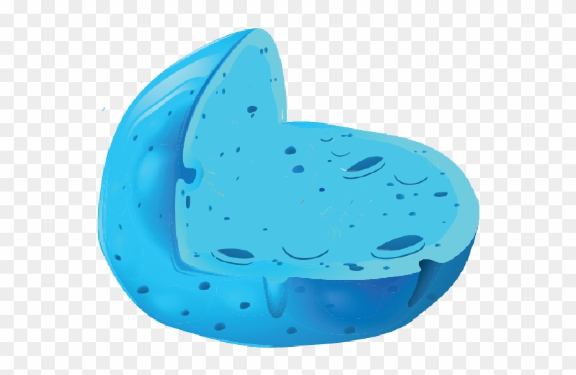 Cell Membrane - Cell Membrane - Use This Diagram Of An Animal Cell First Stage Of Cellular Clipart