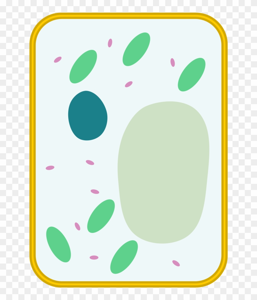 Simple Diagram Of Plant Cell - Plant Cell Labeled Simple Clipart #5864712