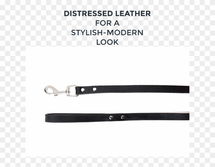 Picture 13 Of - Strap Clipart