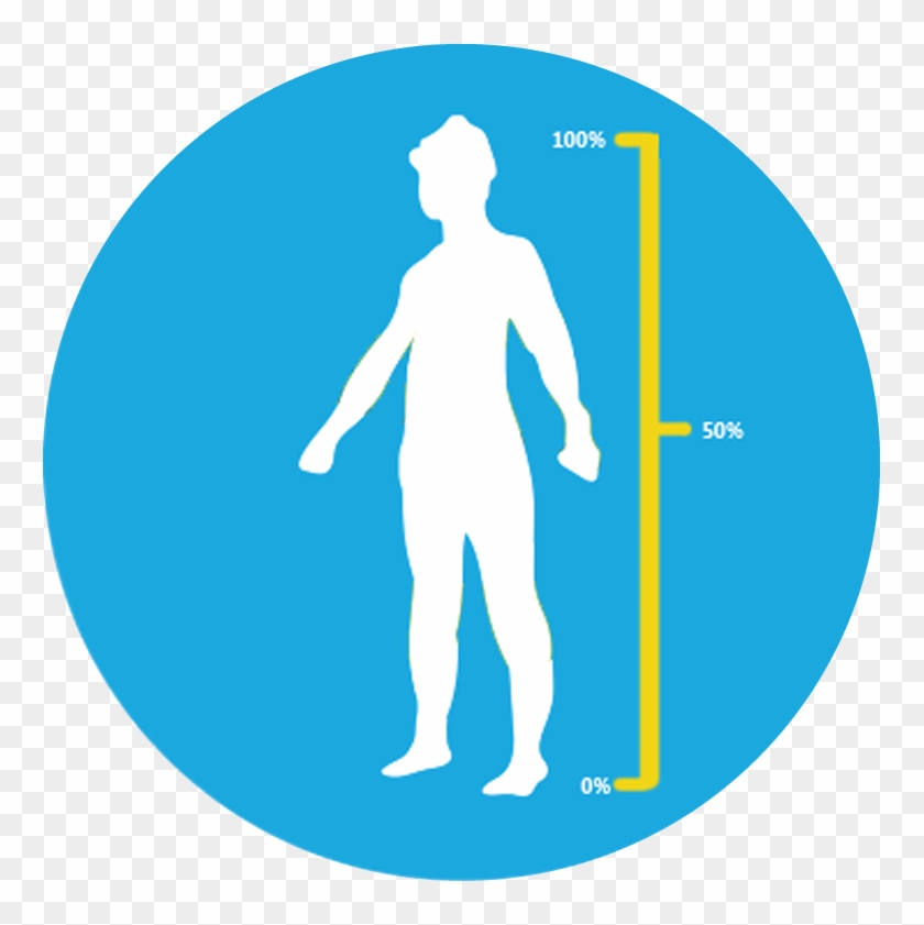 Body Fat Percentage - Illustration Clipart #5864782