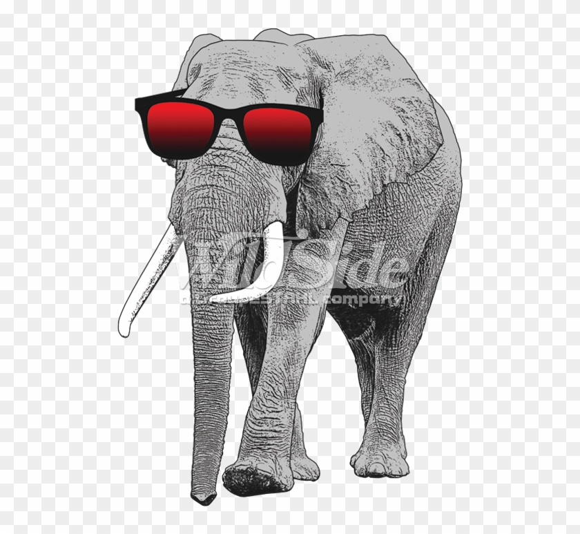 Elephant With Sun Glasses - Elephant With Glasses Clipart