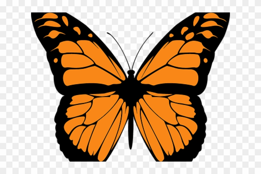 Monarch Butterfly Clipart Colorful Flying Butterfly - Monarch Butterfly Clipart - Png Download