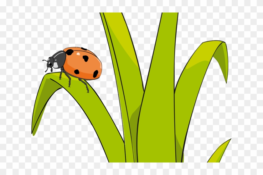 Clipart Ladybug Grass , Png Download - Un Brin D Herbe Transparent Png #5866791