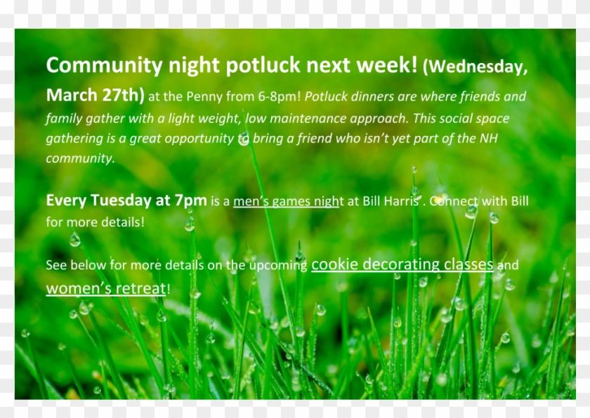 Announcements Mar - Grass Clipart #5867870