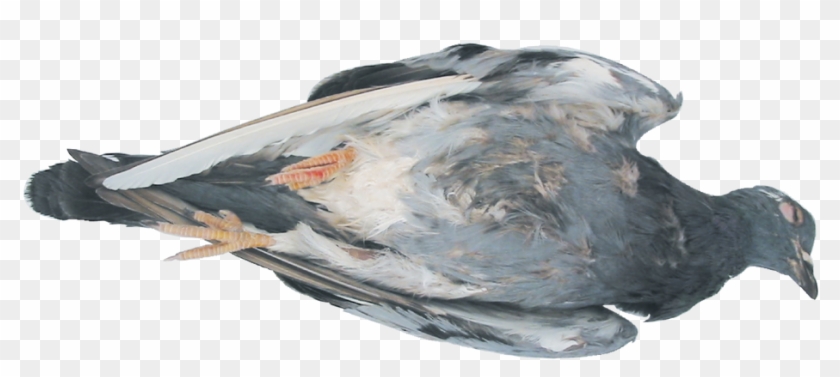 Image - Watercolor Paint Clipart #5868773