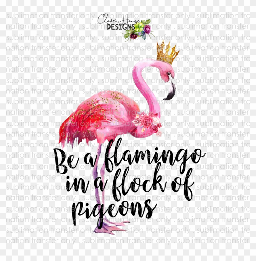 Flamingo In A Flock Of Pigeons - Greater Flamingo Clipart #5869137