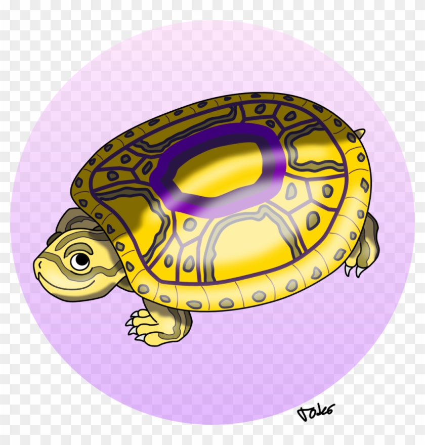 Download Transparent Png - Pond Turtle Clipart #5869788
