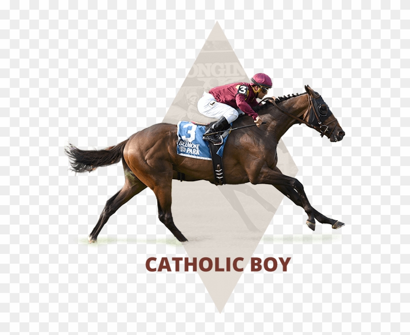 Training Graduates - Stallion Clipart