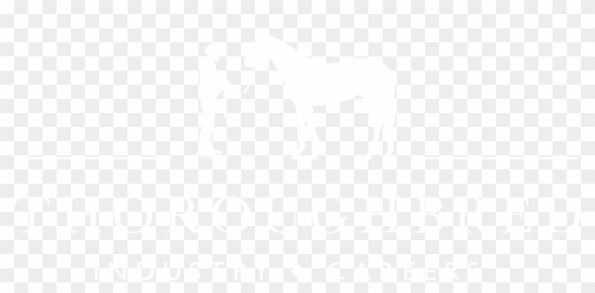 A Racehorse's Constant Companion, The Strapper Makes - Employment Clipart