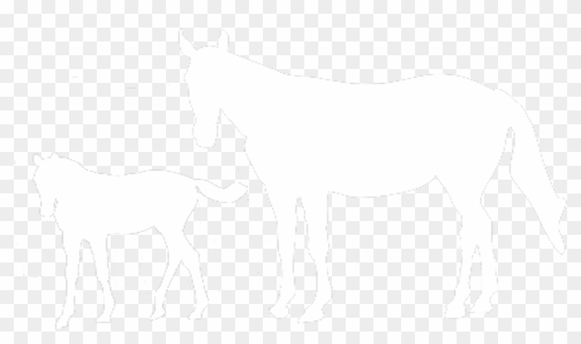 International Races - Mane Clipart #5871045